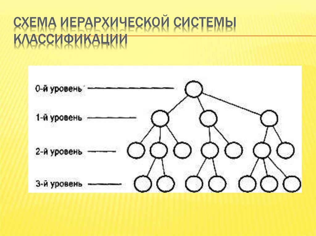 Иерархическая схема онлайн