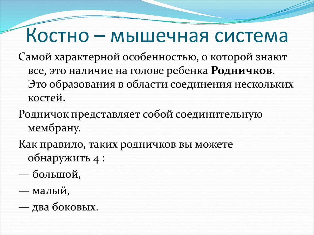 Костно – мышечная система