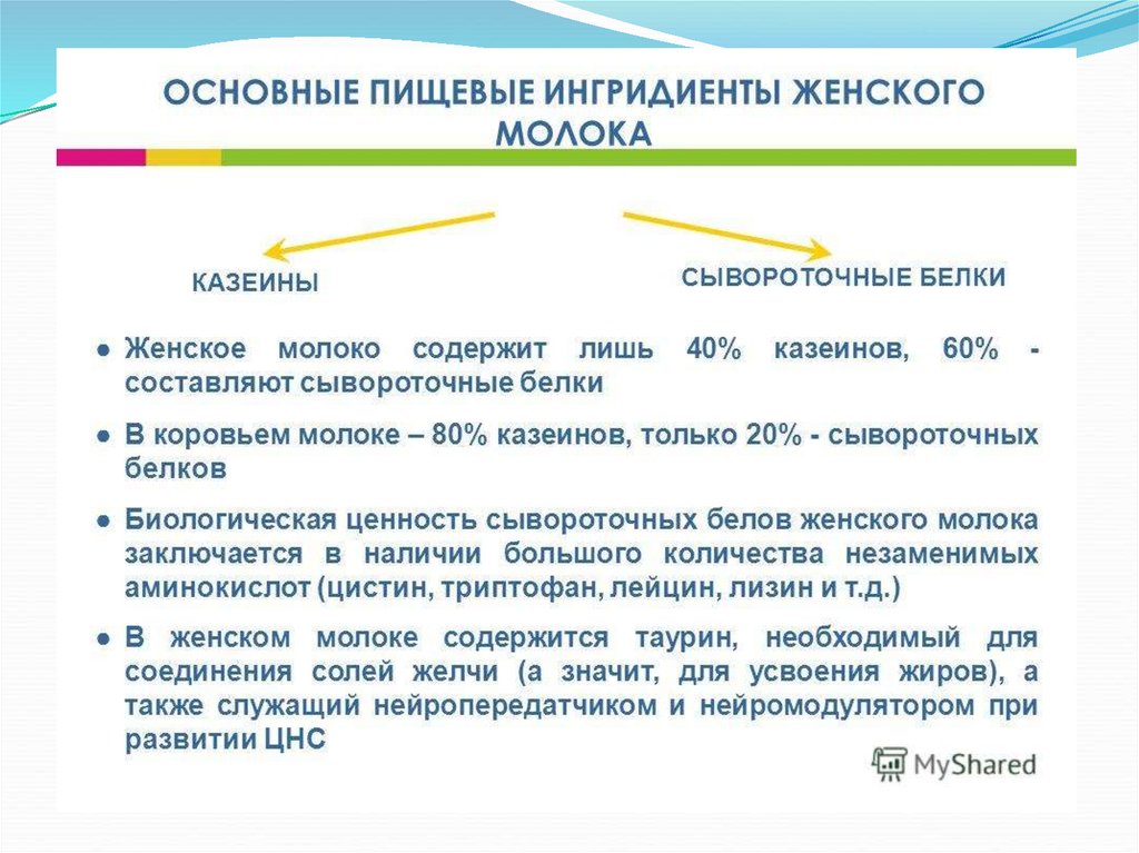 Остеопороз қазақша презентация