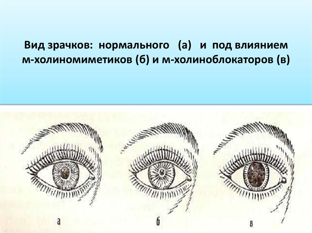 Влияние м. Влияние н холиномиметиков на глаз. Эффекты м-холиномиметиков на глаз. Влияние м,н-холиномиметиков на глаза. М холиномиметики зрачок.