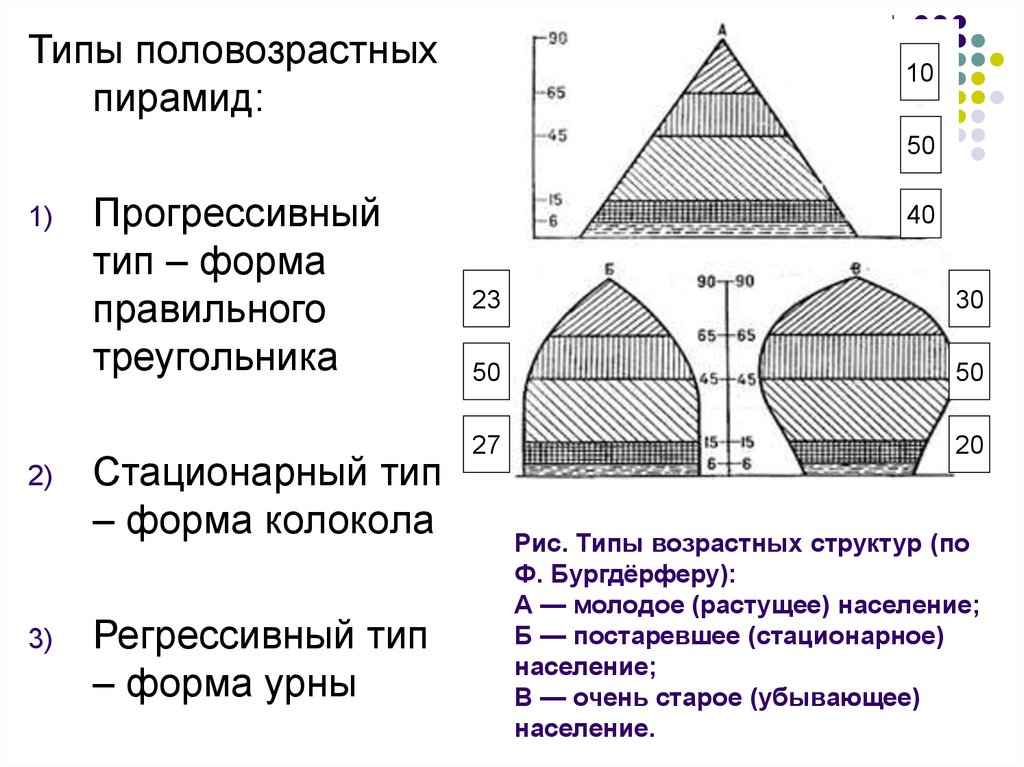 Типы возрастной структуры населения. Типы возрастной структуры по ф Бургдерферу. Типы возрастных структур (по ф. Бургдёрферу). Типы половозрастных пирамид. Тип возрастной структуры населения по Сундбергу.