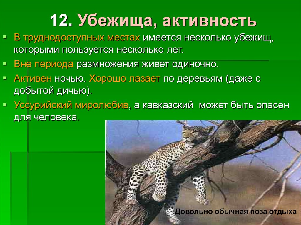 Укажите среду обитания ящерицы в период размножения. Укажите среду обитания животного в период размножения.. Лазающие по деревьям животные характеристика. Приведи примеры животных которые лазают. Крокодилы лазают по деревьям.