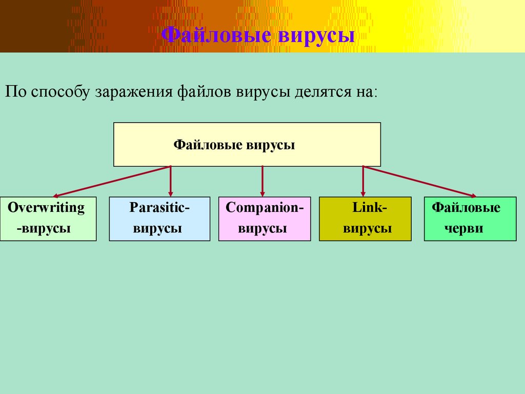 Способы файлового вируса. Способы заражения файловых вирусов. Файловые вирусы делятся на. По способу заражения вирусы делятся на. Способу заражения файлов вирусы делятся.