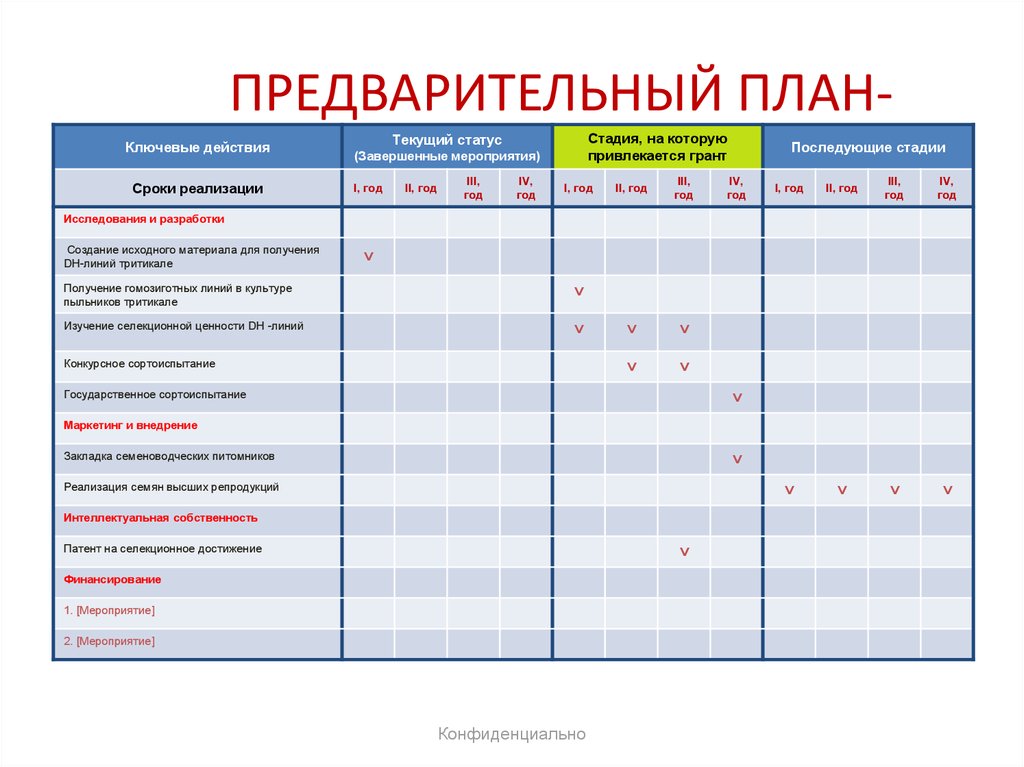 Предварительный план