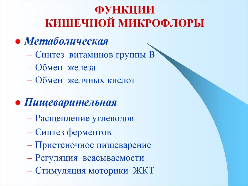 Функции кишечника. Функции кишечной микрофлоры. Микрофлора кишечника человека функции. Роль микрофлоры пищеварительного тракта. Функции кишечной микро.