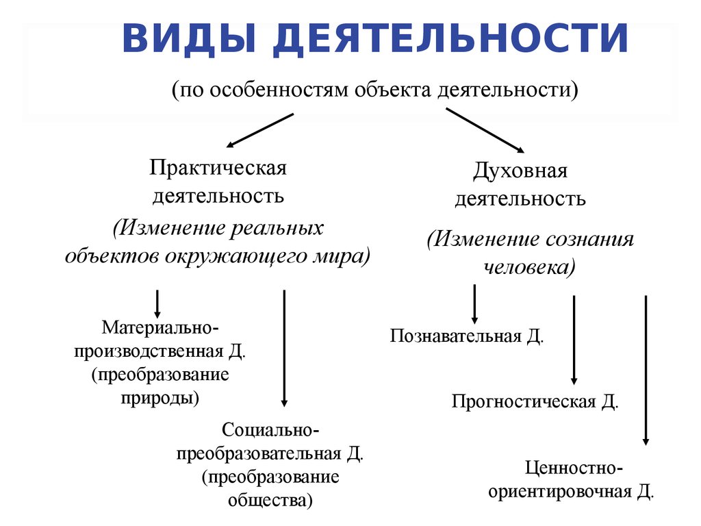 Какой вид деятельности не указан в схеме виды деятельности