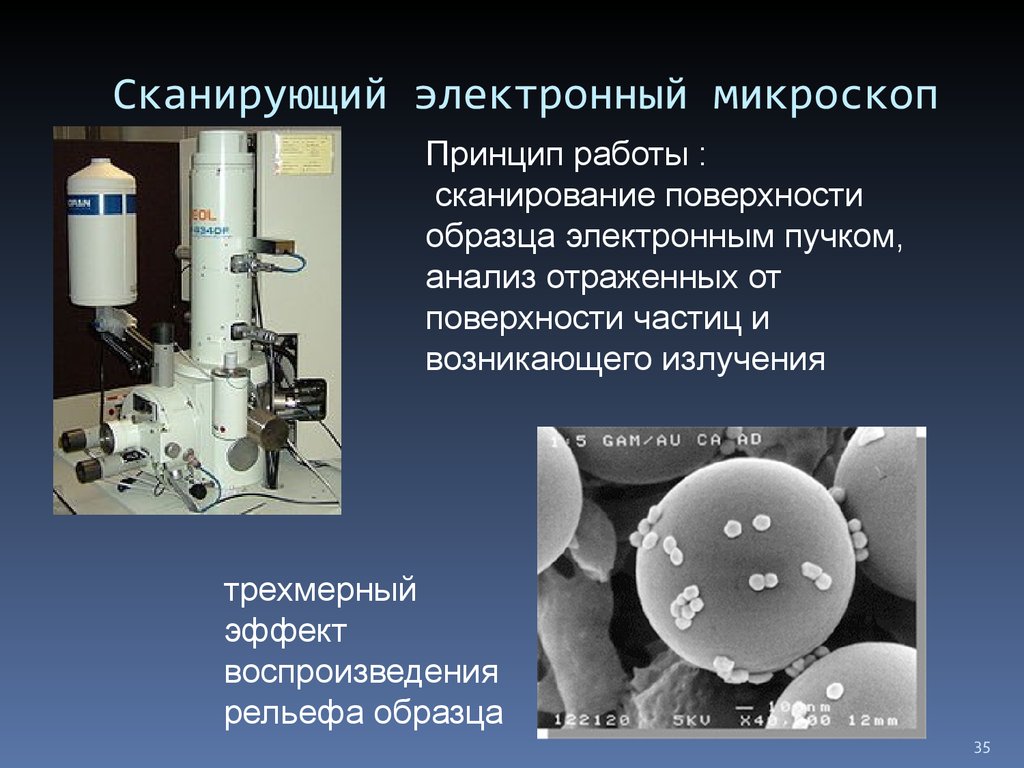 Микроскопия принцип метода