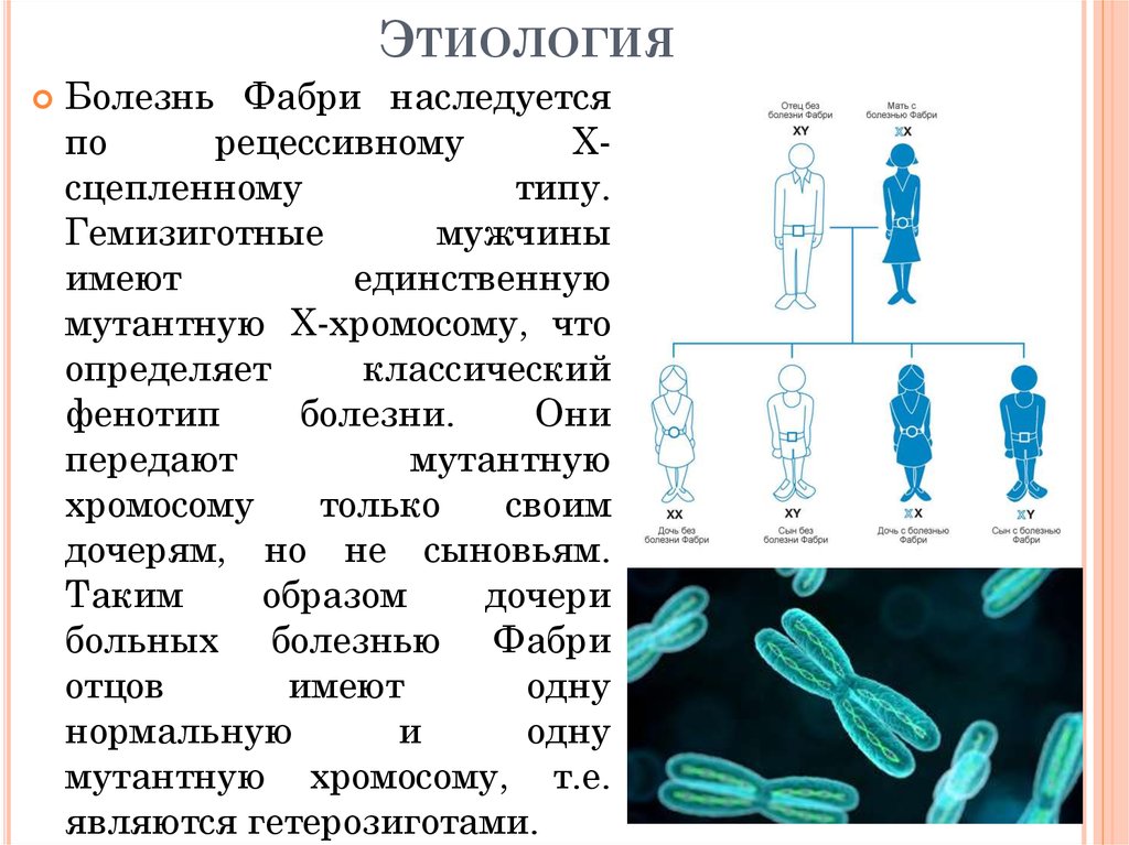 Х хромосома это мужская. Болезнь Фабри Тип наследования. Болезнь Фабри этиология. Клинические проявления болезни Фабри. Болезнь Фабри презентация.