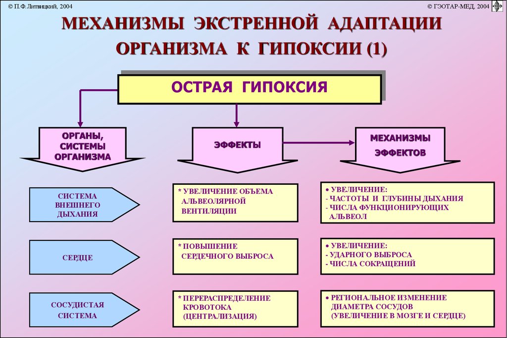 Экстренная адаптация к гипоксии схема