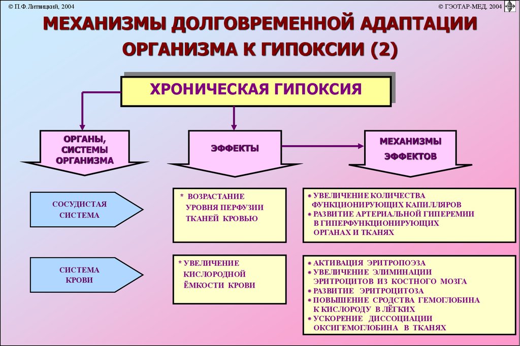 Роль гипоксии. Механизмы долговременной адаптации организма к гипоксии. Механизмы экстренной адаптации организма к гипоксии. Механизмы адаптации при гипоксии. Кратковременная и долговременная адаптация к гипоксии.