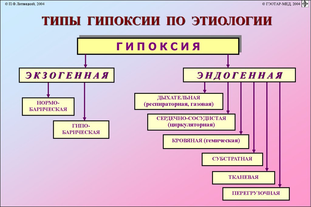 Презентация гипоксия по патологии