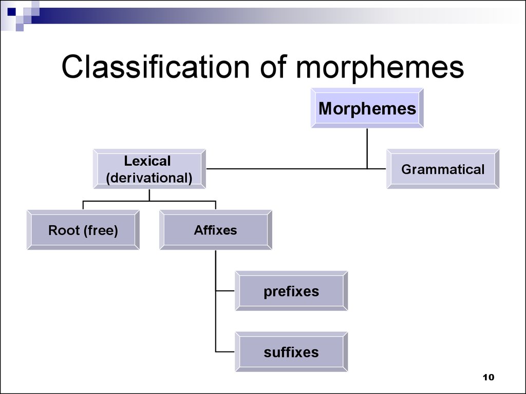 English word structure