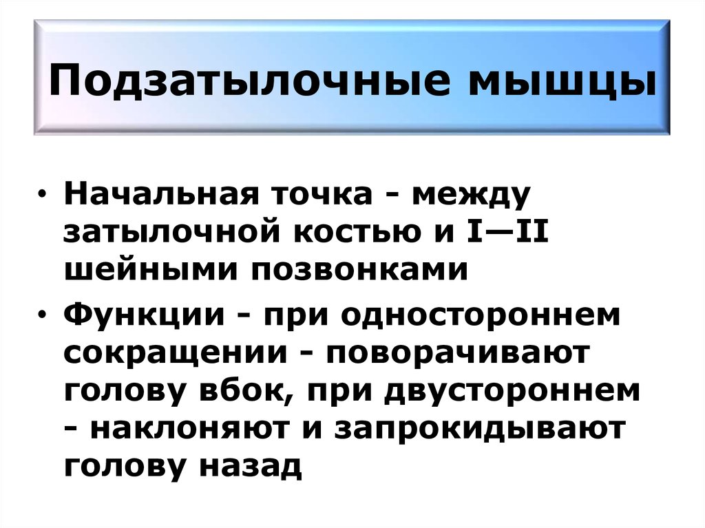 Подзатылочные мышцы. Функции подзатылочных мышц. Функции подзатылочных мышц головы. Иннервация подзатылочных мышц.