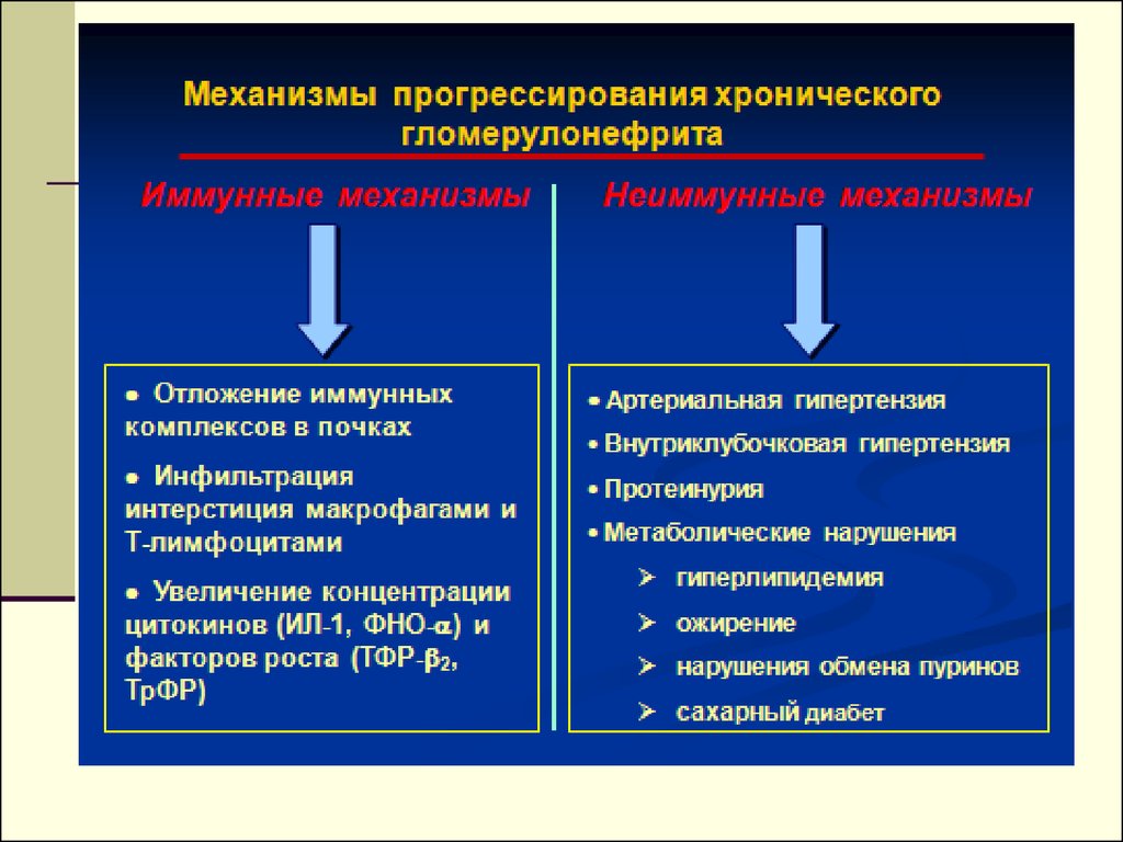 Хронический гломерулонефрит. Механизм действия гломерулонефрита. Механизмы прогрессирования хронического гломерулонефрита. Механизм АГ при гломерулонефрите. Основной механизм развития гломерулонефрита.