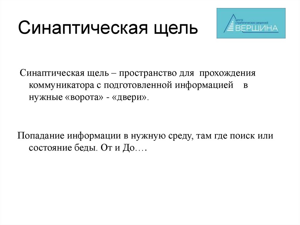 Синаптическая щель