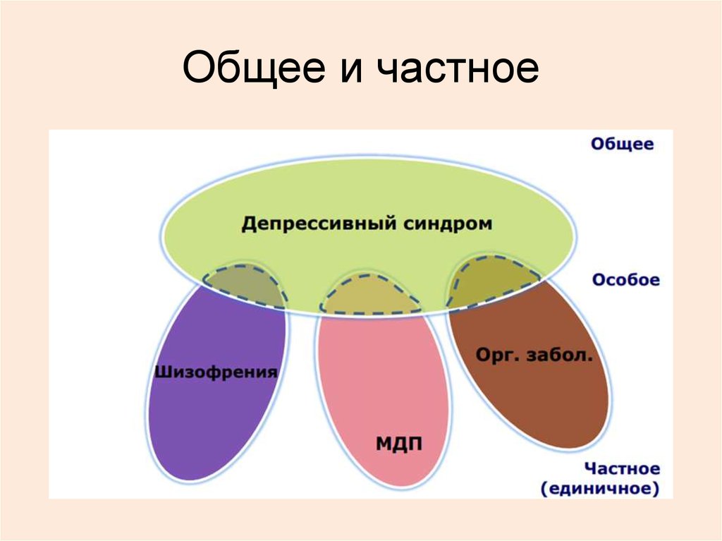 Суммарно менее. Общее и частное. Общие и частные понятия. Общее и частное понятие. Общее частное единичное.