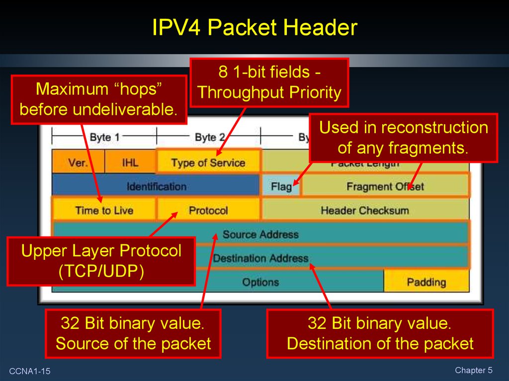 Пакет ip адресов. Ipv4 Protocol. Формат пакета ipv4. Структура ipv4. Протокол ipv4.