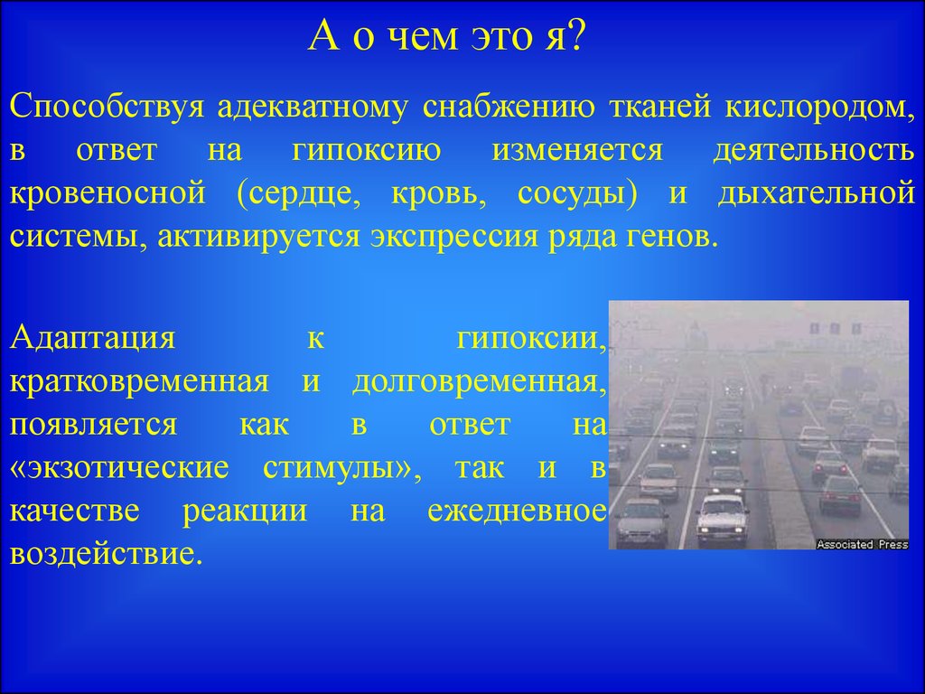 Адаптация организма к гипоксии презентация