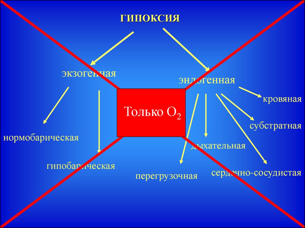 Гипоксии организма. Механизмы адаптации организма к гипоксии. Механизмы адаптации к гипоксии. Адаптация при гипоксии. Механизмы адаптации при гипоксии.