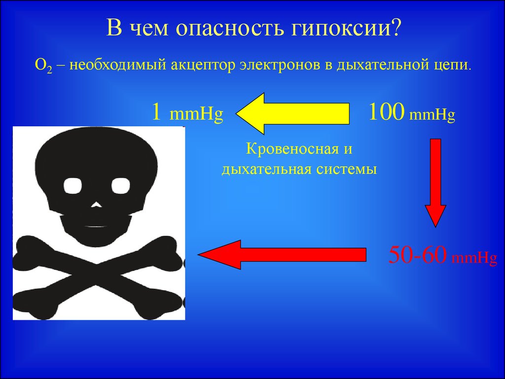 Чем опасна гипоксия. Адаптация к гипоксии. Механизмы адаптации при гипоксии. Адаптация организма к гипоксии. Экстренная адаптация организма к гипоксии.