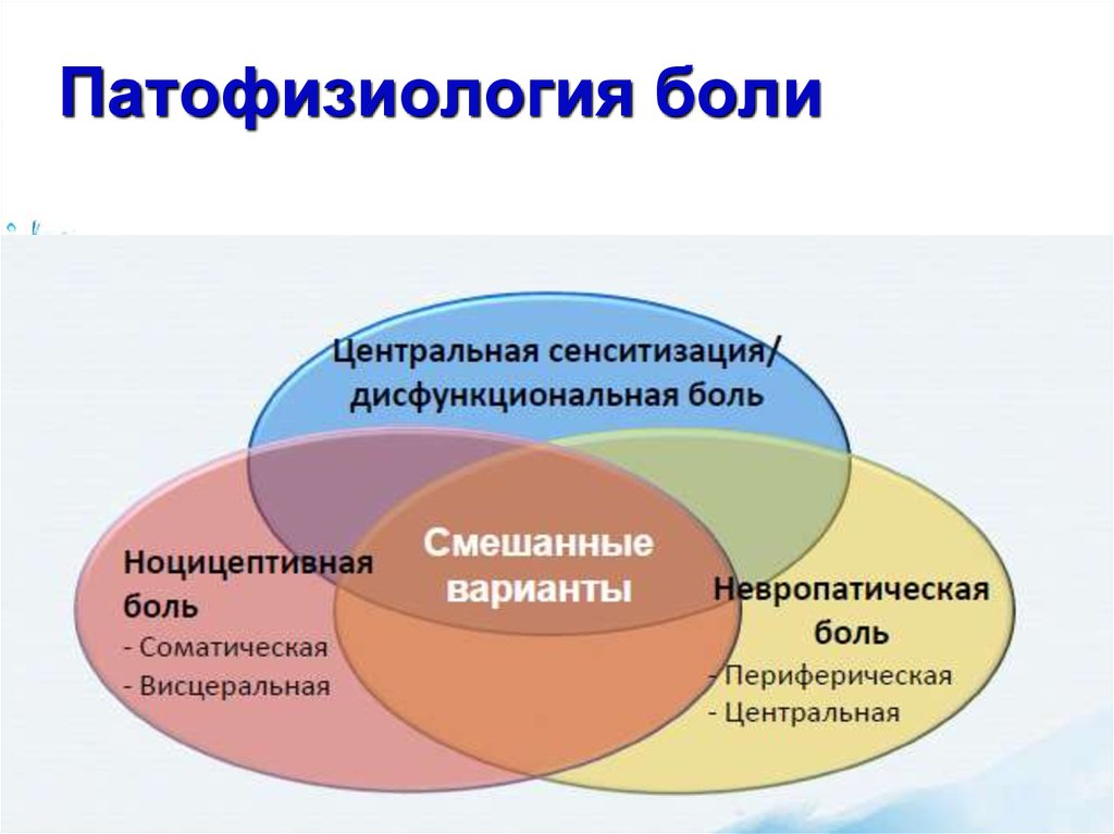 Схема механизмов развития первичной и вторичной гиперальгезии