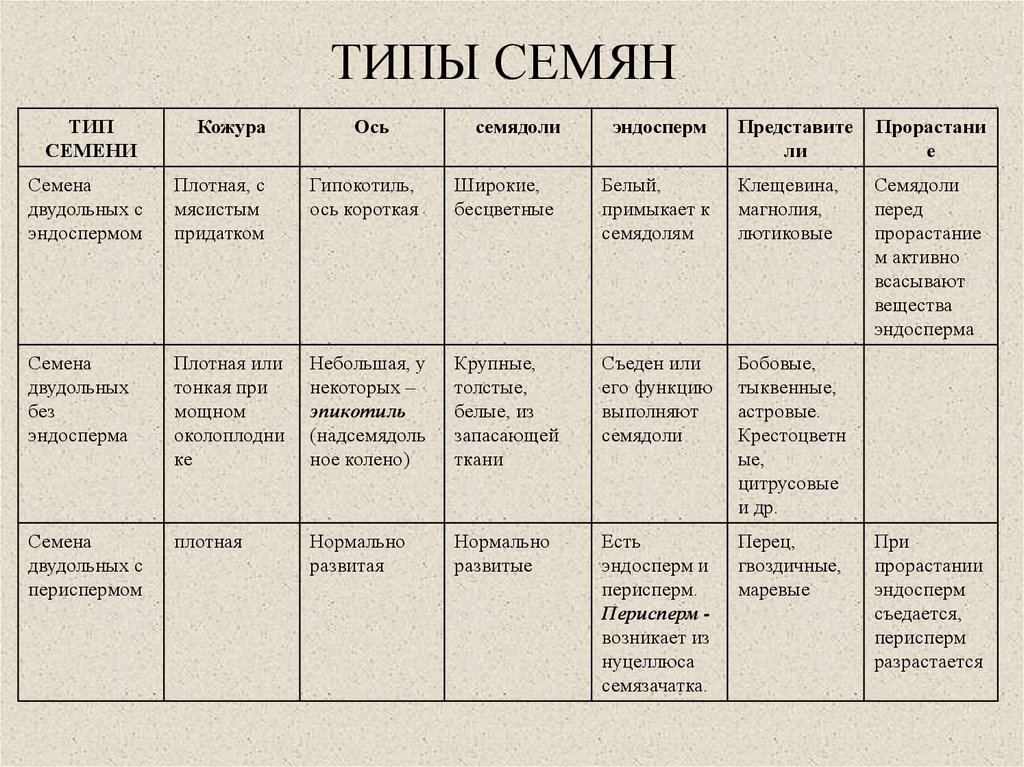 Виды семян презентация