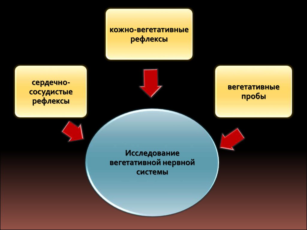 Функции ведущих