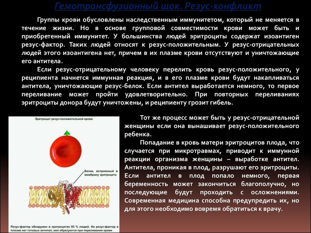 Резус положительный эритроцит. Резус антитела система резус-фактор. Резус-антитела накапливаются в эритроцитах. Система резус-фактор гемотрансфузионный ШОК резус-конфликт. Кровь группы крови иммунитет.