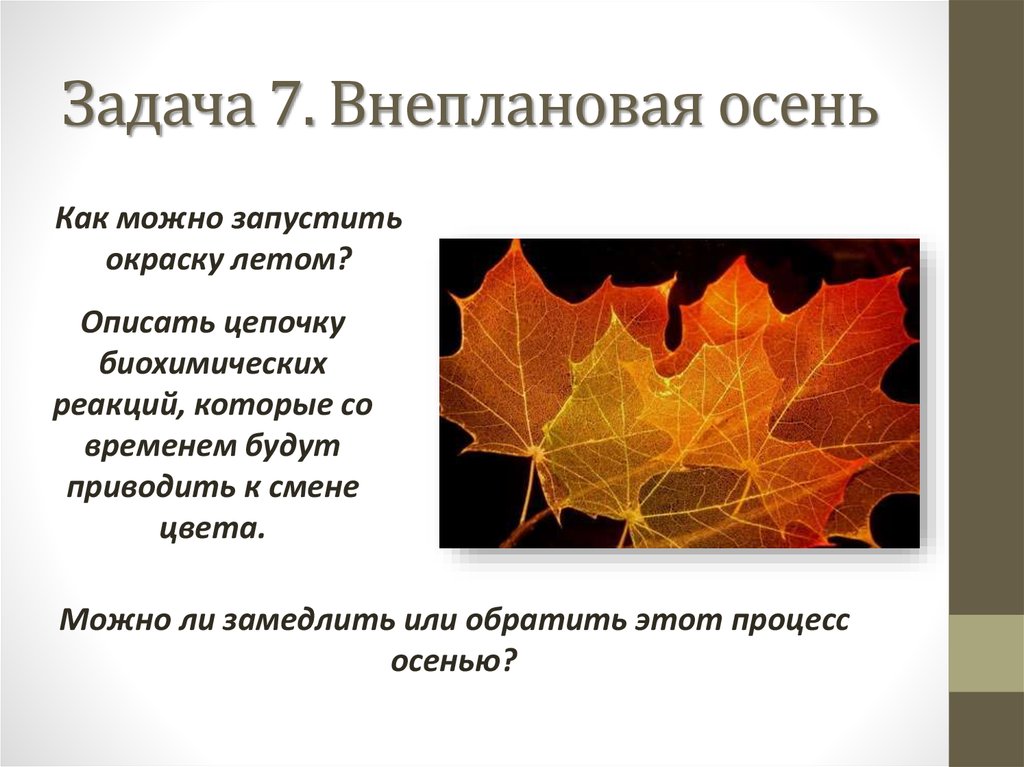 Почему листья поднимаются вверх. Почему листья зеленые презентация. Почему листья летом зеленые. Почему листья имеют зеленый цвет. Почему листья зеленые 3 класс.