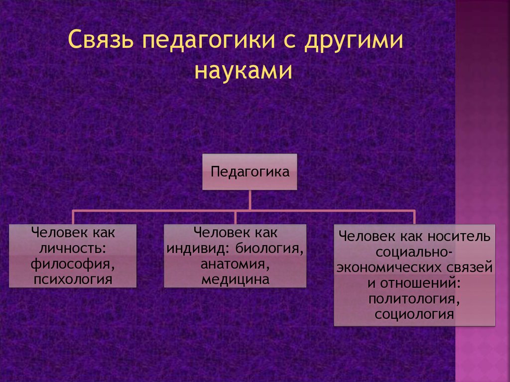 Связи педагогики. Схему связей педагогики науки с другими науками о человеке. Педагогика в системе других наук. Педагогика в системе наук о человеке взаимосвязь с другими науками. Взаимосвязь педагогики с анатомией.