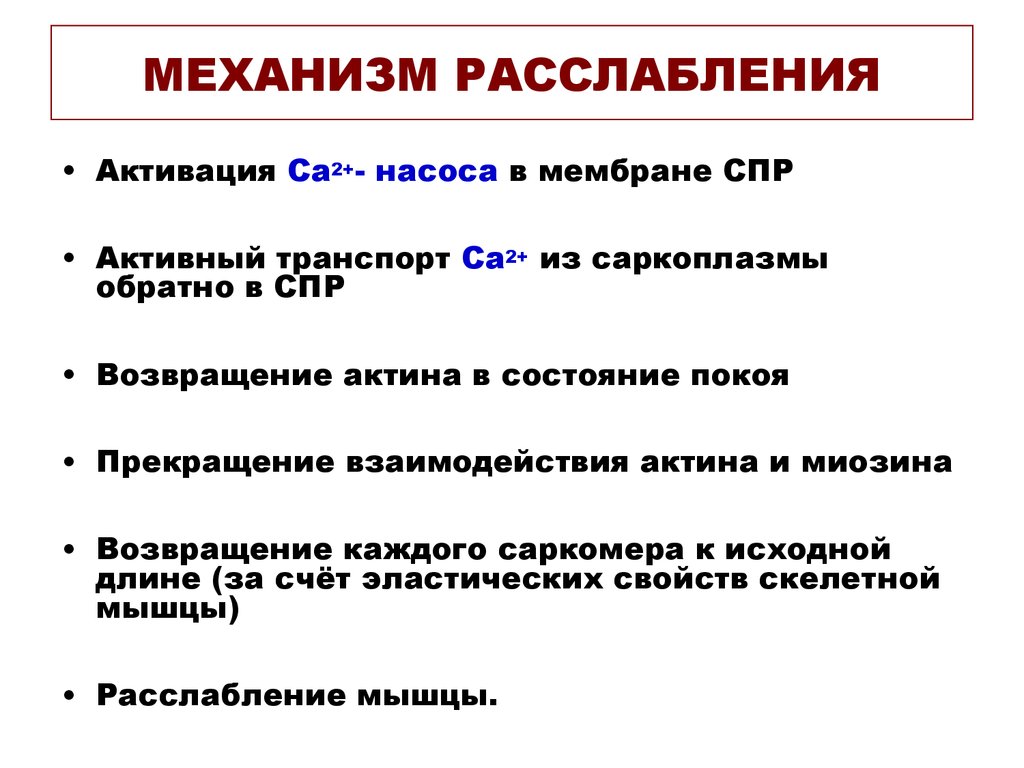 Особенности сокращения скелетной мышечной ткани. Механизм сокращения и расслабления мышц. Механизм расслабления мышечного волокна кратко. Механизм расслабления мышц физиология. Механизм сокращения и расслабления мышечного волокна.