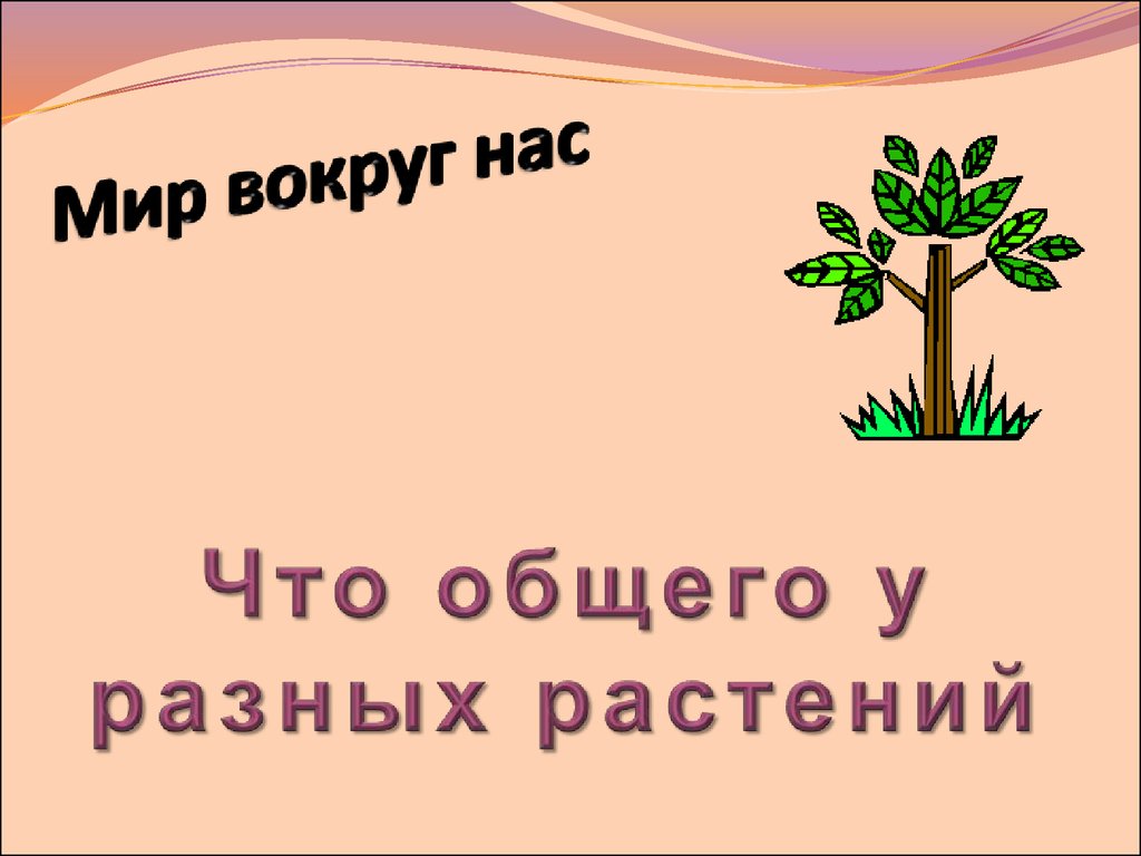 Что общего у разных растений. Что общего у разных растений окружающий мир 1 класс презентация. Что общего у разных растений 1 класс картинки. Что общего у разных растений карточка.