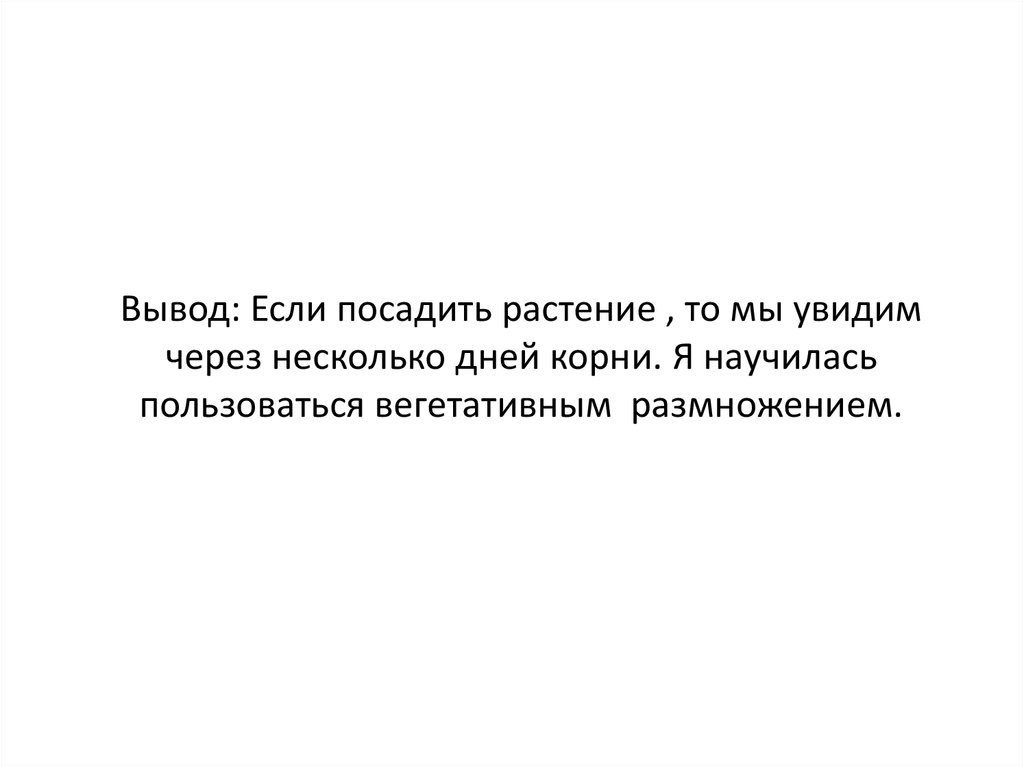 Вывод: Если посадить растение , то мы увидим через несколько дней корни. Я научилась пользоваться вегетативным размножением.