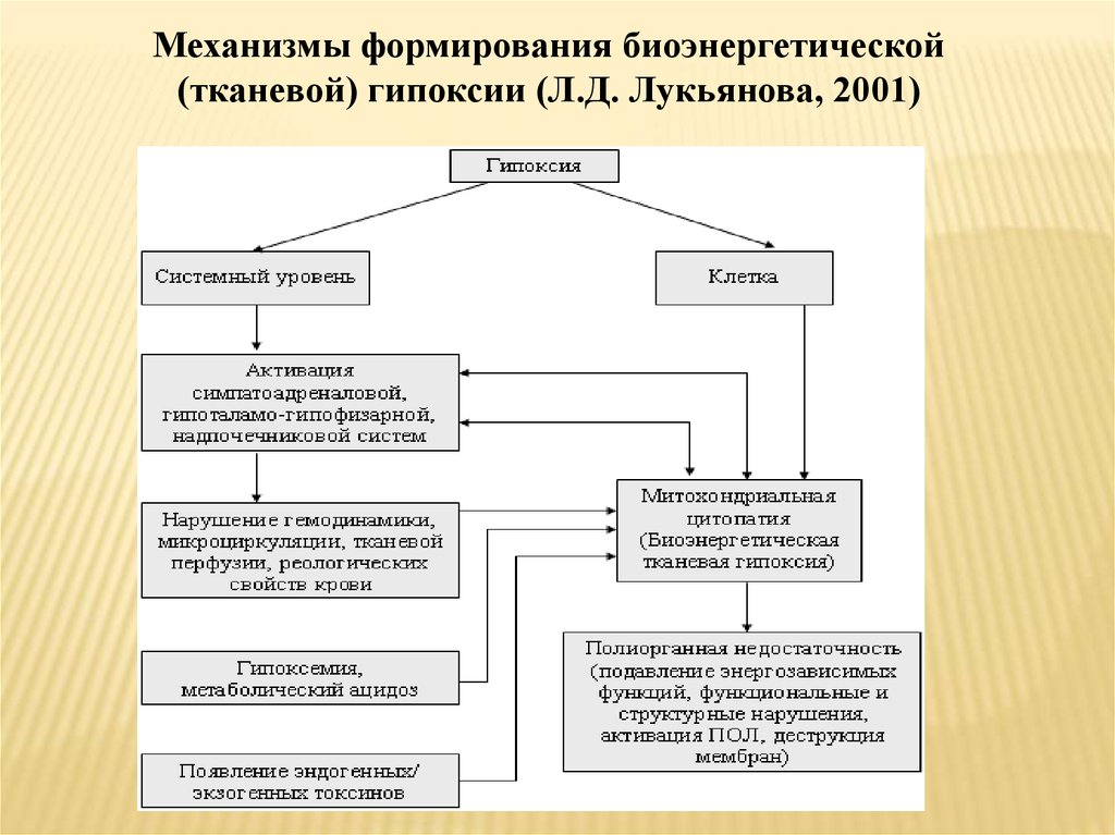 Виды гипоксии схема