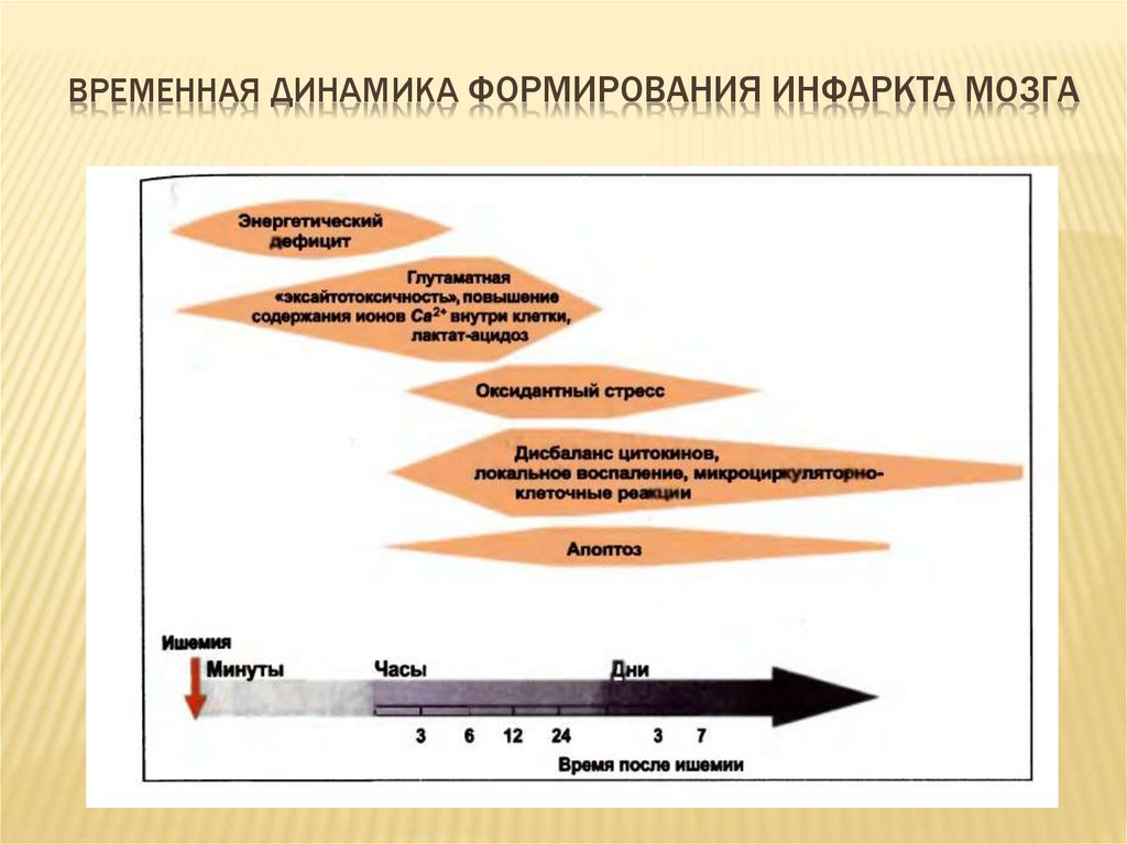 Динамика формирования