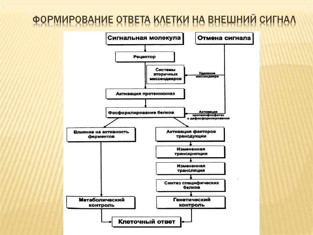 Формирование ответов