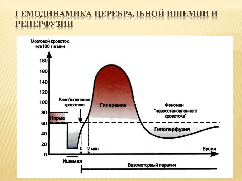 Гипоксия ишемия. Ишемия реперфузия. Церебральная гемодинамика. Гипоксически-ишемическая реперфузия. Разница между ишемией и гипоксией.