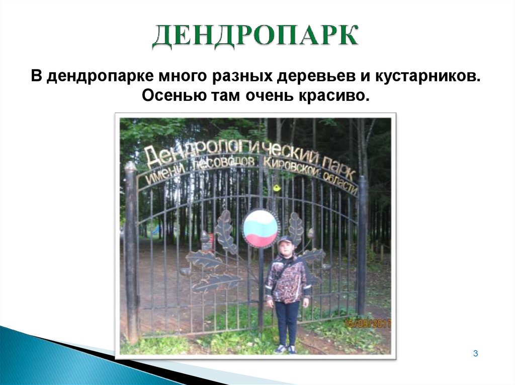 ДЕНДРОПАРК