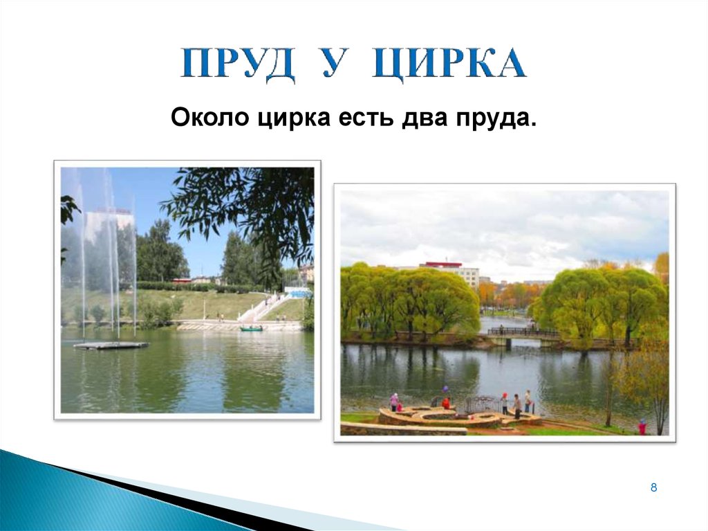 ПРУД У ЦИРКА