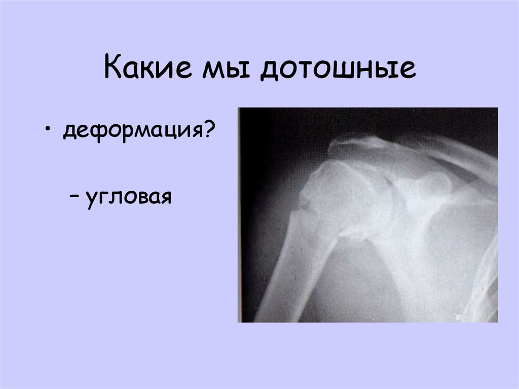 Какие мы дотошные