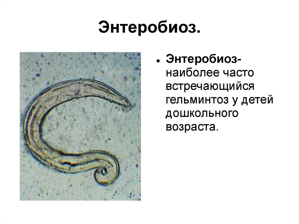 Энтеробиоз қазақша презентация