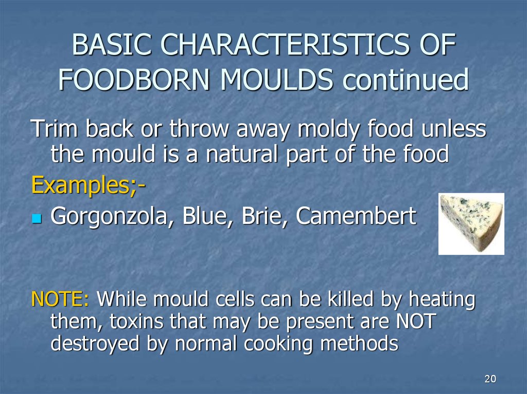 BASIC CHARACTERISTICS OF FOODBORN MOULDS continued