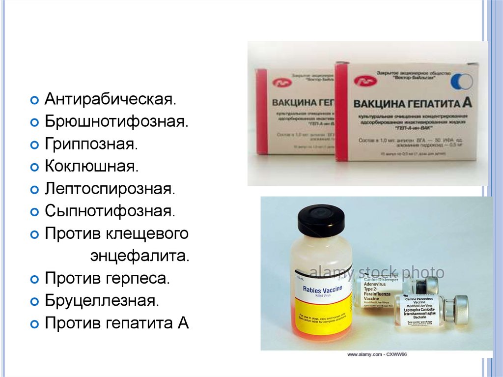 Прививка от гепатита взрослым отзывы. Брюшнотифозная вакцина. Вакцина против генитального герпеса. Иммуноглобулин клещевого энцефалита. Иммуноглобулин против гепатита в.