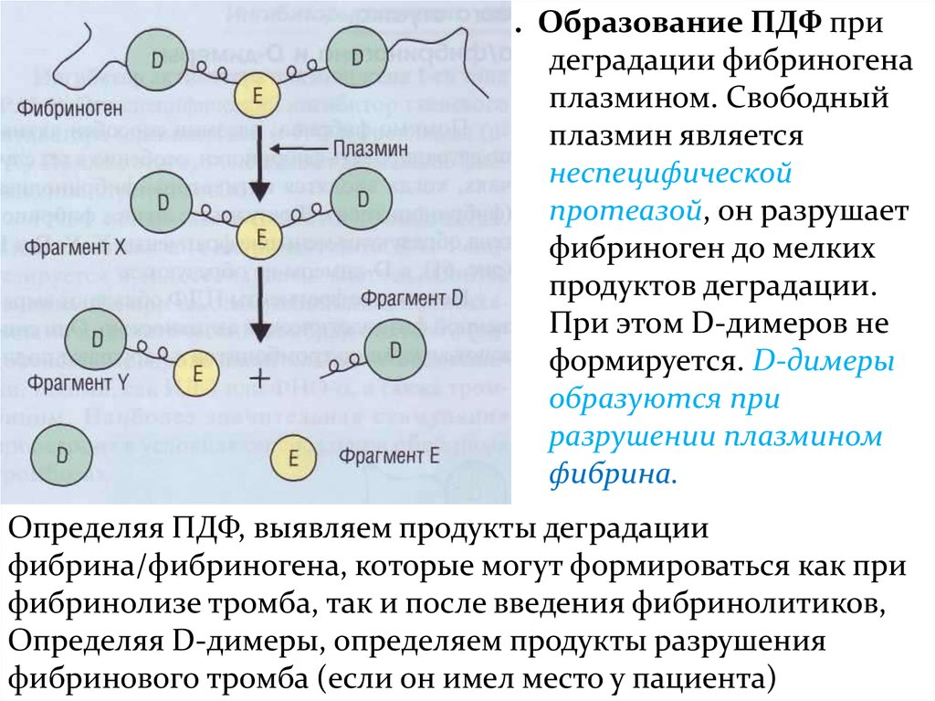 Принципы pdf