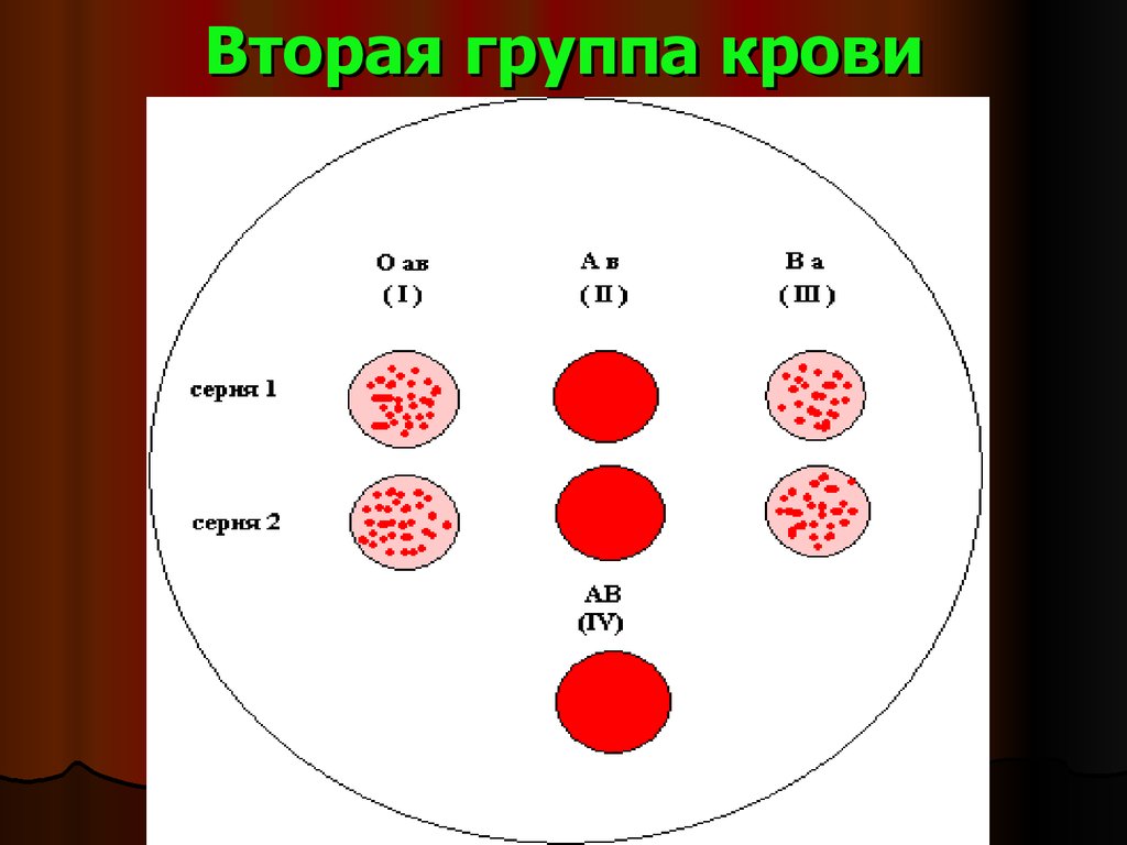 Группа крови 2 б. 3 Группа крови. Вторая группа крови. Как выглядят группы крови. Вторая положительная группа кр.