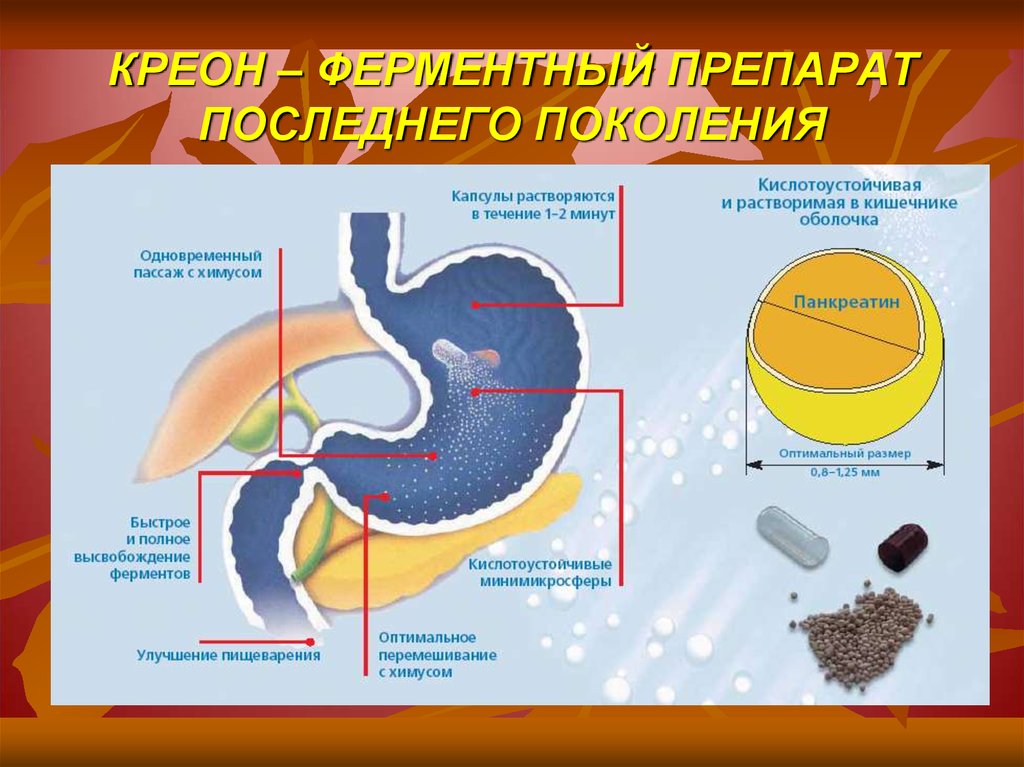 Последнее средство. Капсула растворяется в желудке или в кишечнике. Капсула растворяется в желудке. Желатиновые капсулы растворяются в желудке или кишечнике. Хронический панкреатит креон.