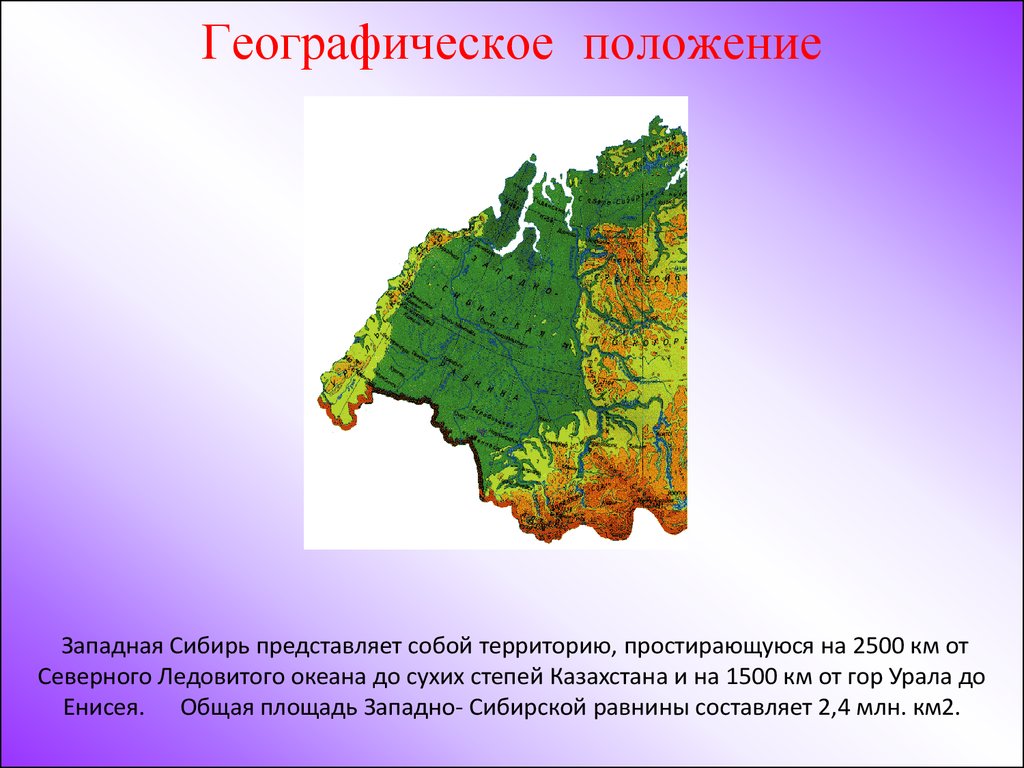 Особенности природно географического положения сибири