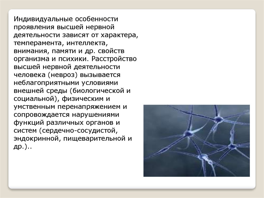 Индивидуальные особенности внд человека презентация