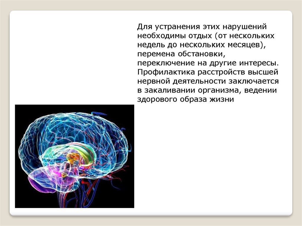 Высшая нервная деятельность презентация 9 класс