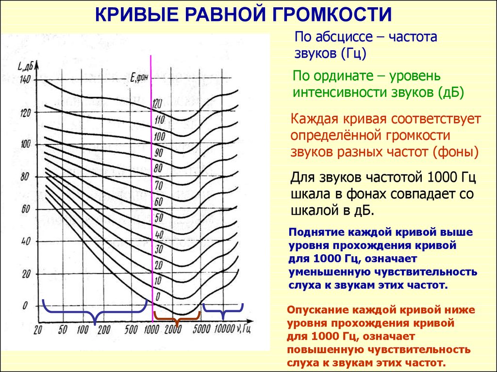 Как определить звуковые частоты. ДБ громкость Гц частота. Кривые равной громкости. Уровень интенсивности звука. Оценка уровня громкости.